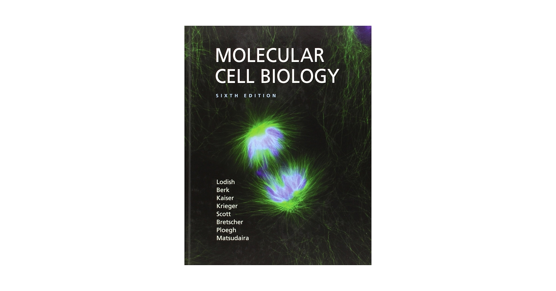 健康・医学 Molecular Cell Biology, 9th Edition Molecular Cell Biology (842581) 9, LODISH, HARVEY - Amazon.com